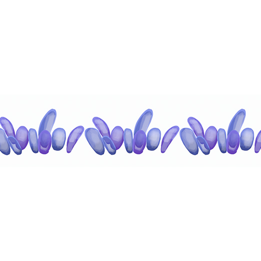 Plants – Sprite Shape Profile